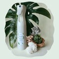 Vaporisateur Nuage Hydratant | Rêve Soyeux